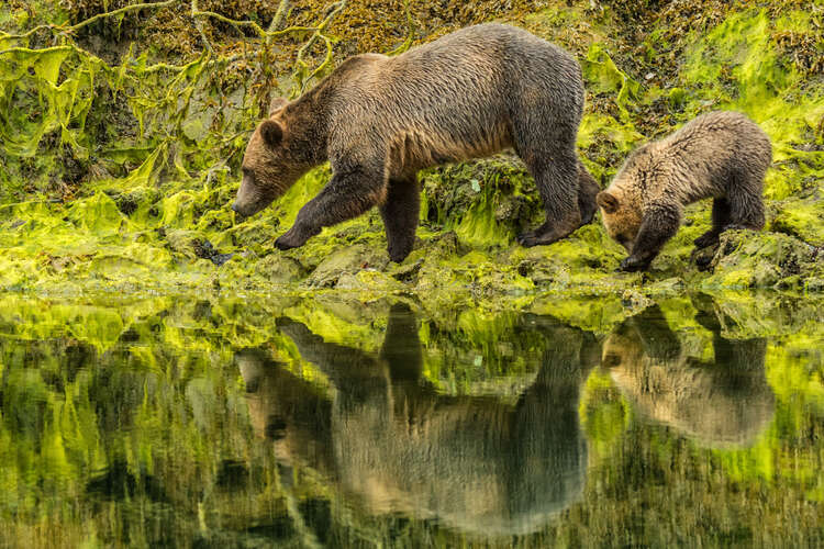 voyage estivale à Vancouver
