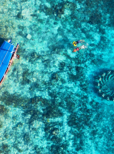 Raffinement Indonésien de la Jungle Sacrée aux Lagons d'Azur