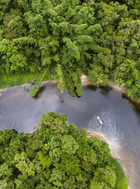 Croisière fluviale au cœur de l’Amazonie péruvienne