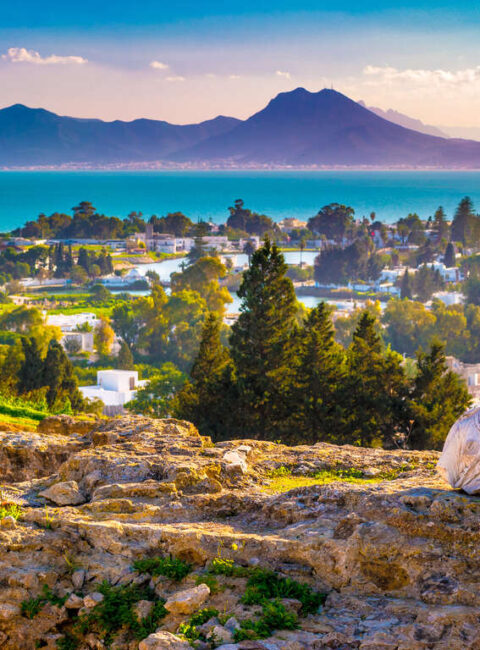 Toute la Tunisie avec chauffeur et guide privé
