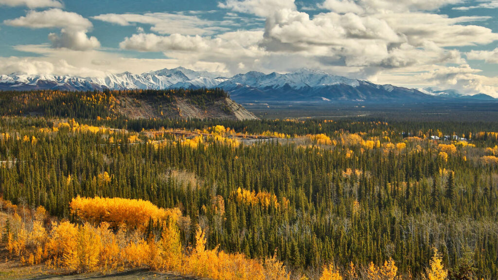 De Vancouver à l’Alaska avec Explora Journeys