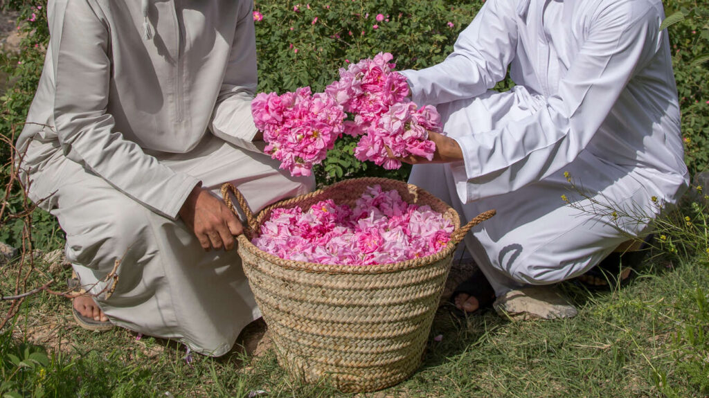 12 jours à Oman avec chauffeur-guide : parfums et gastronomie