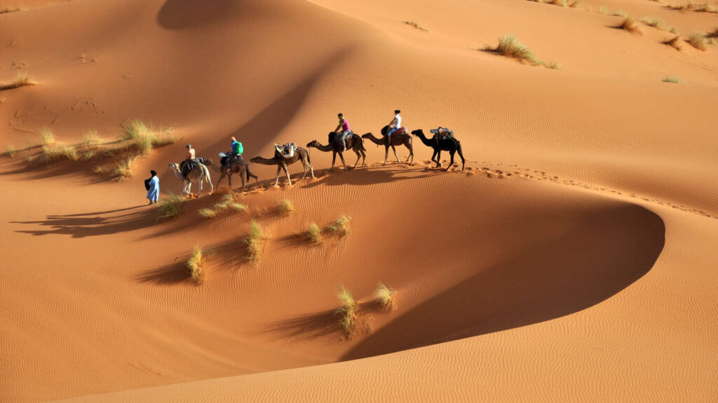 Circuit d’1 semaine tout compris avec chauffeur et guide privés en Tunisie : Djerba, Chenini, Ksar Ghilane, Tozeur, Matmata et Sabria