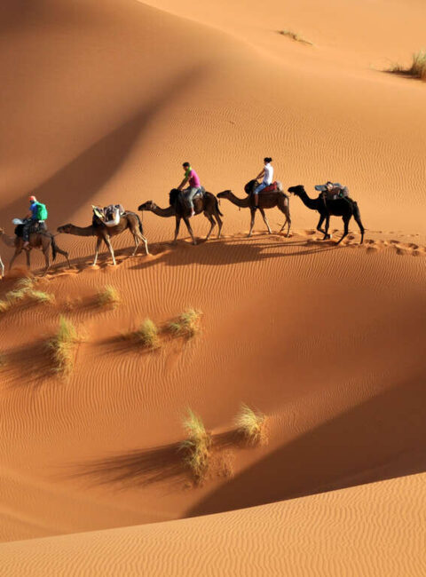 La boucle du sud tunisien
