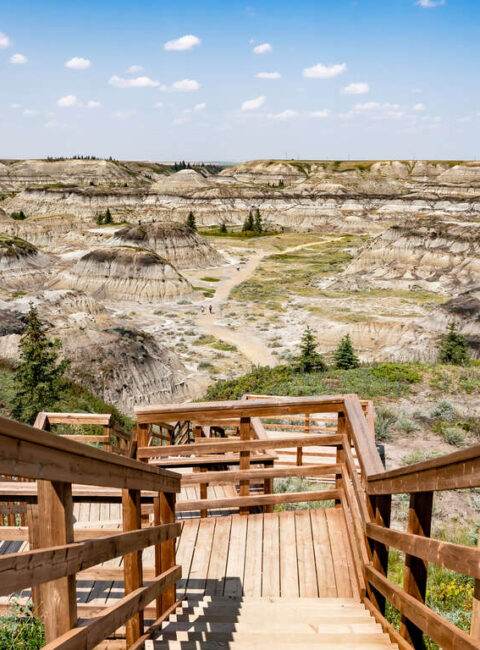 L’Alberta authentique : Calgary, Rocheuses et badlands