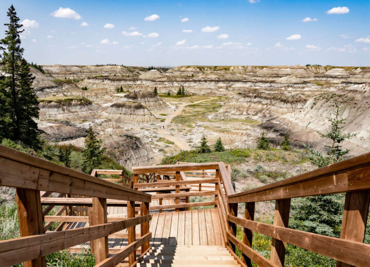 L’Alberta authentique : Calgary, Rocheuses et badlands