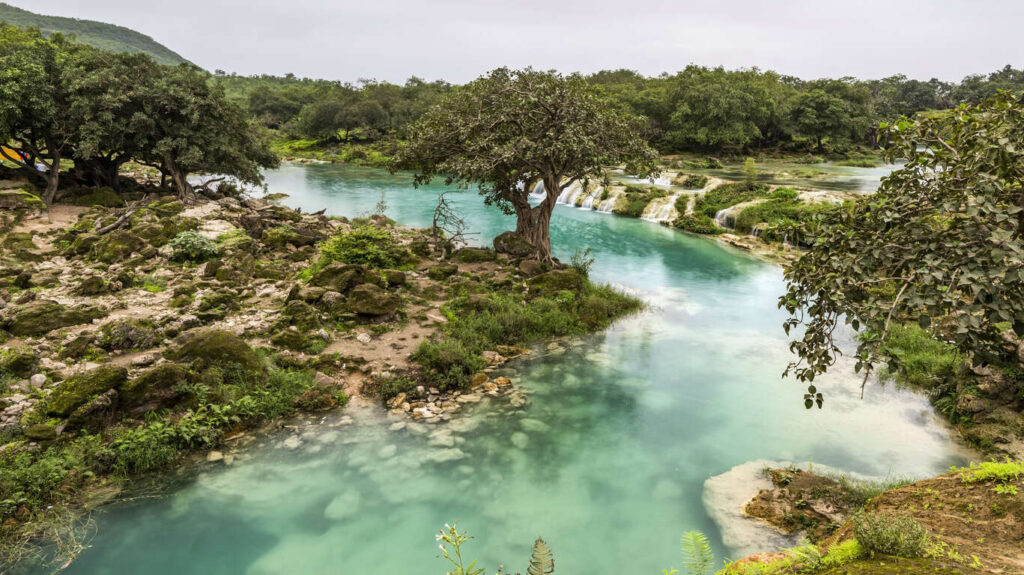 Le Dhofar : royaume de l’encens