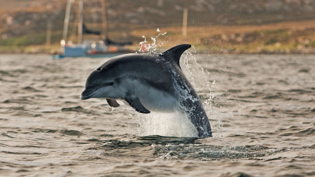 Circuit accompagné Ecosse 8 jours