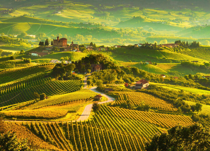 Italie gourmande : voyager à travers les grandes cuisines régionales