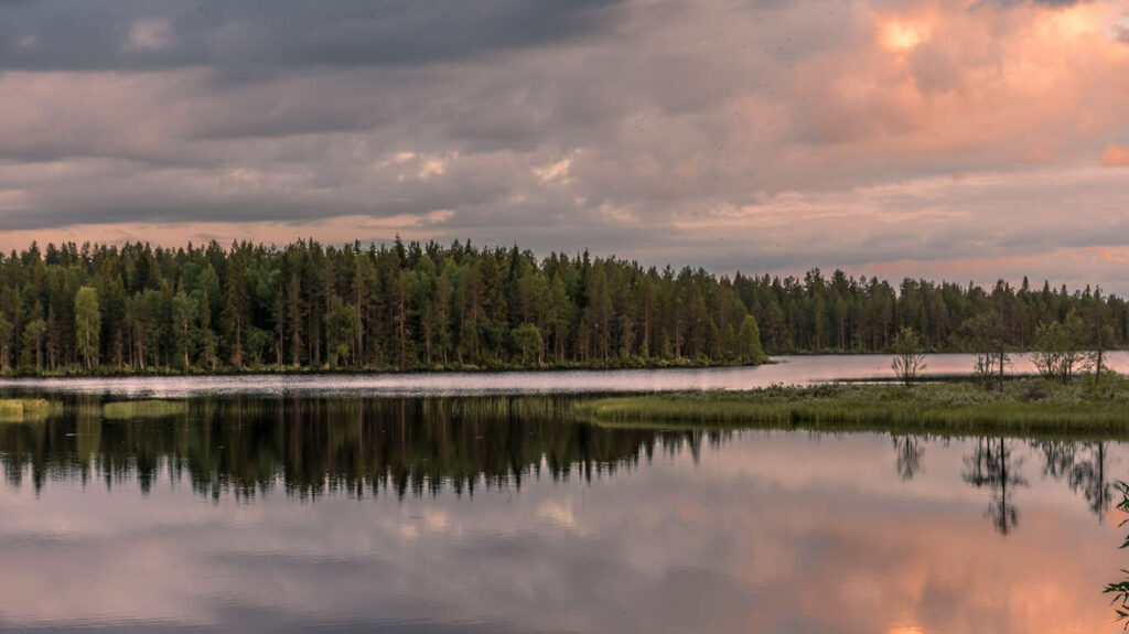 Voyage Laponie nature en été 8 jours 