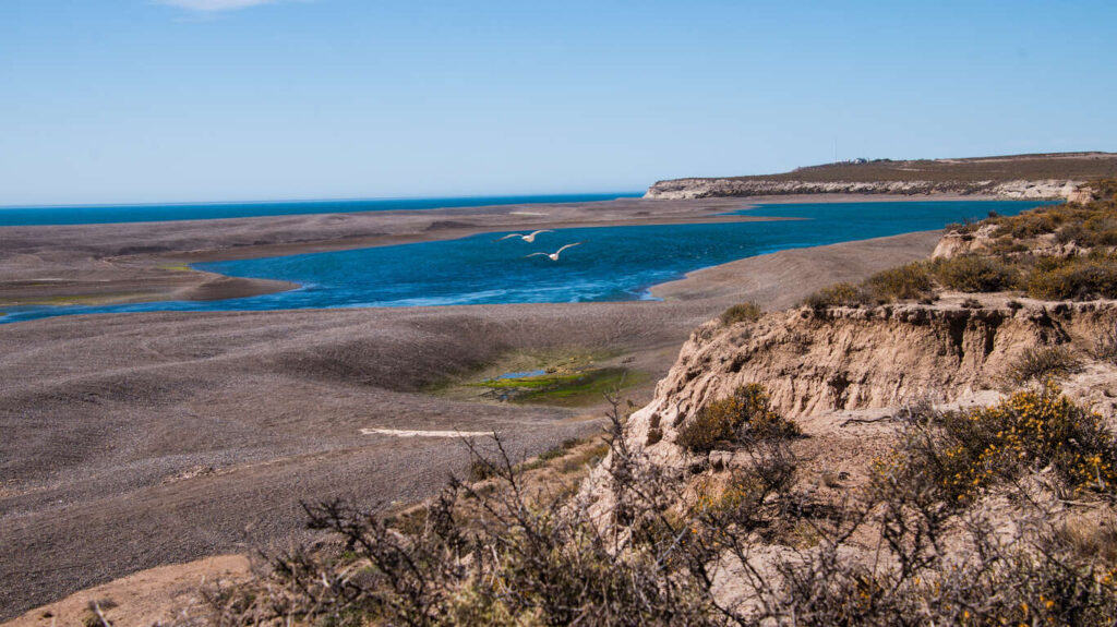 Circuit accompagné en petit groupe en Patagonie argentine