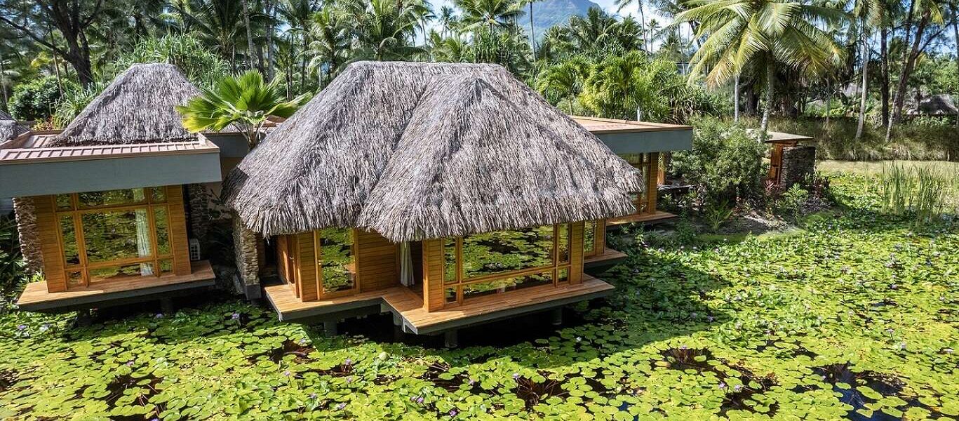 Séjour de luxe en Polynésie avec les hôtels Pearl