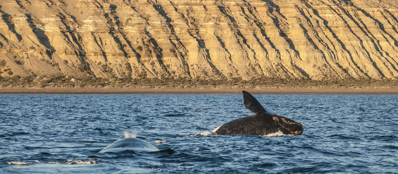 Circuit accompagné en petit groupe en Patagonie argentine