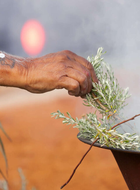 De l’Australie aux iles Fidji, immersion dans la culture du pacifique