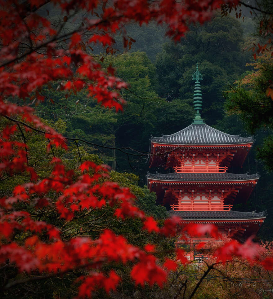 Voyage à l’automne : destinations et idées de séjours sur mesure