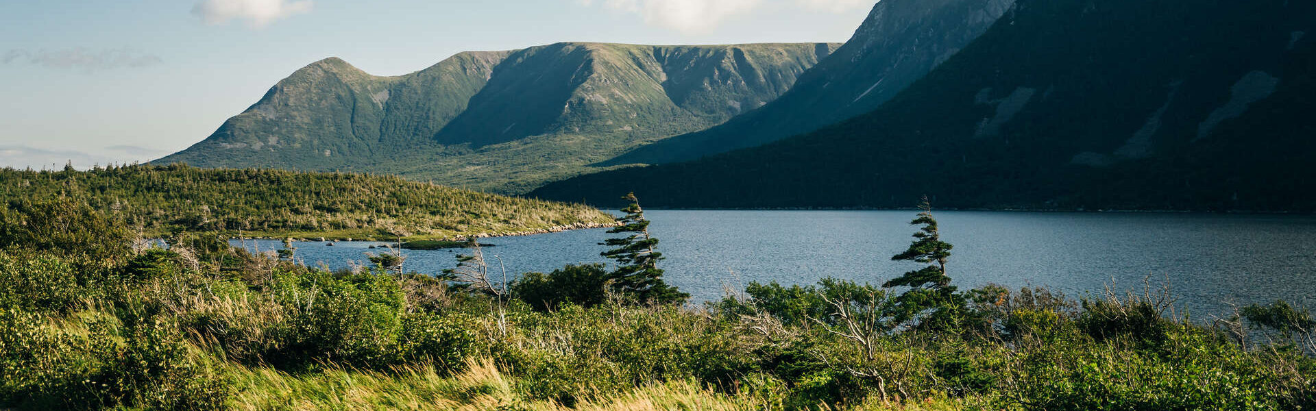 Autotour à Terre-Neuve : entre icebergs, baleines et nature sauvage
