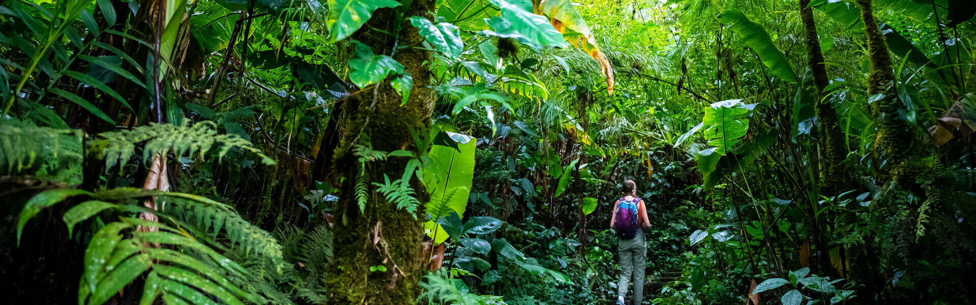 Circuit organisé au Costa Rica en petit groupe