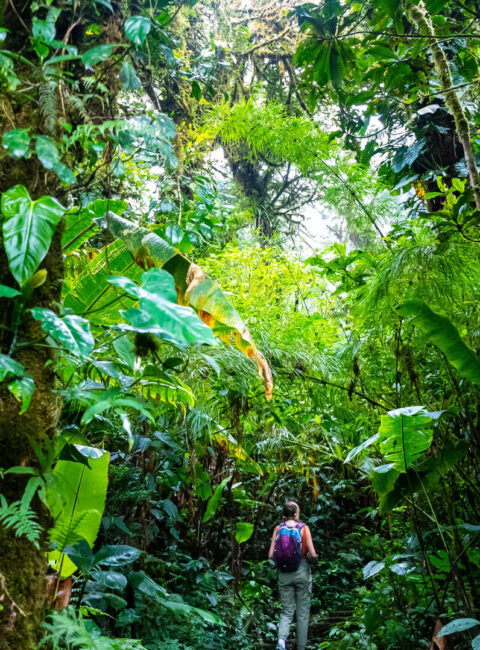 Costa Rica Authentique en Petit Groupe