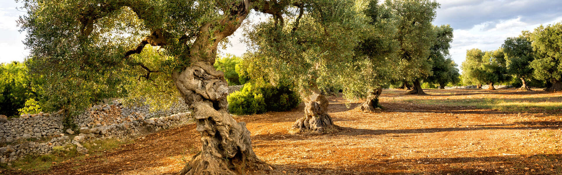 Les Pouilles et Matera : beautés du sud de l'Italie
