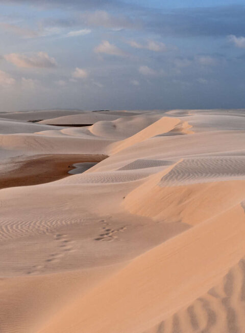 Brésil Sauvage en petit groupe : Nordeste et Lençóis Maranhenses
