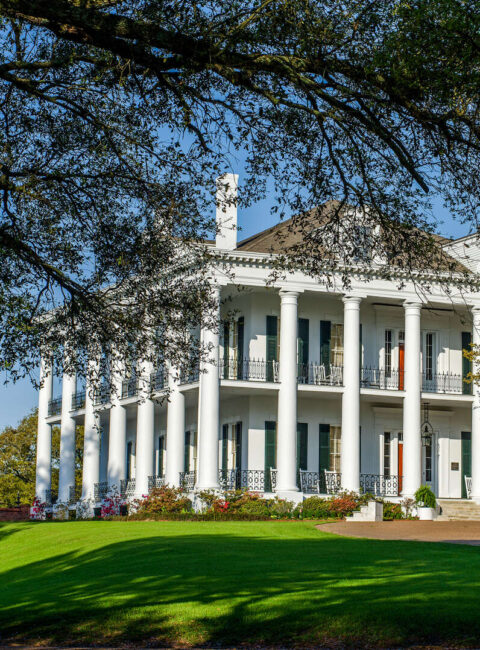 Louisiane, l'Âme du Sud en Circuit