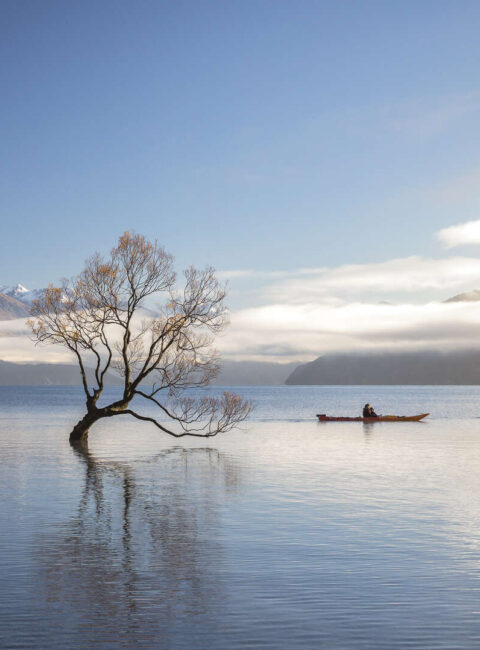 De la Nouvelle-Zélande aux Fidji : l'aventure au bout du monde