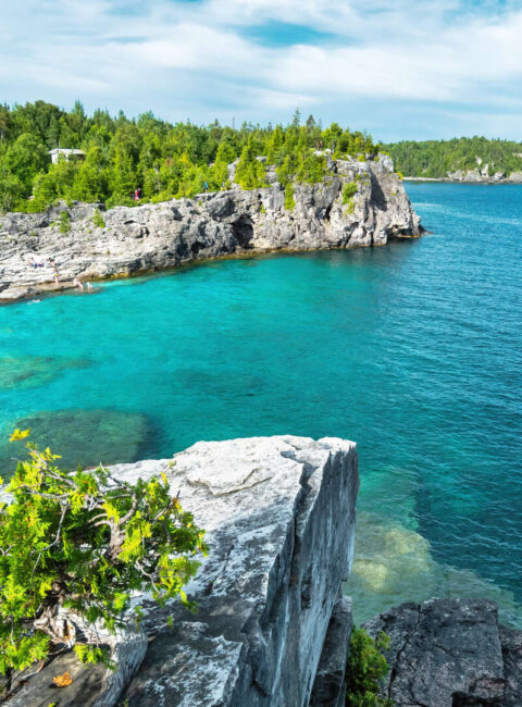 Road Trip Nature autour des Grands Lacs