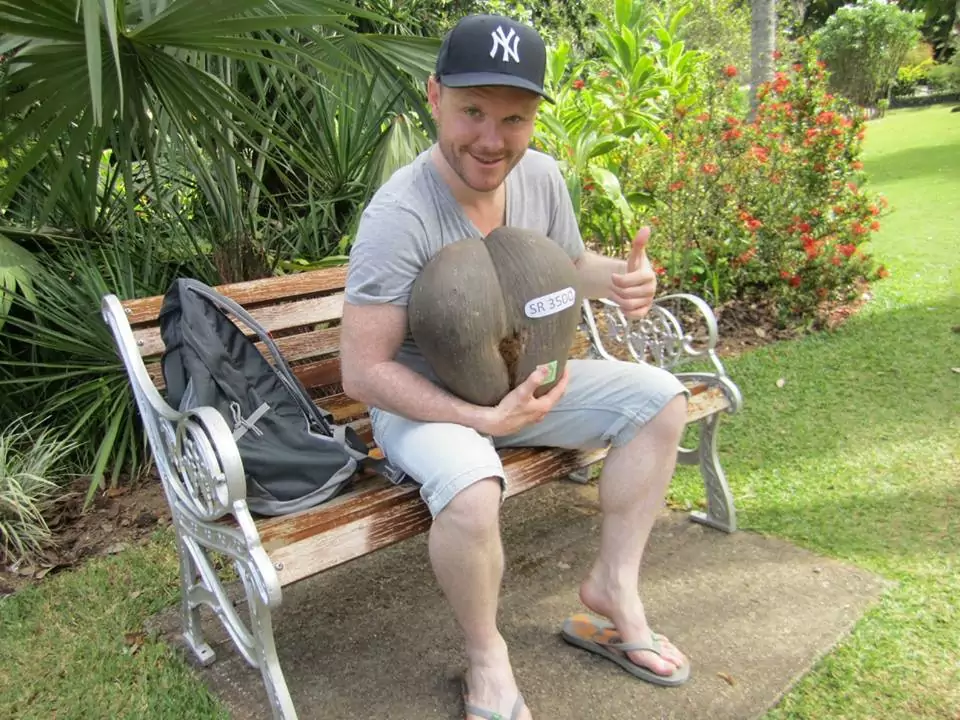 Coco de mer - Jardin Botanique