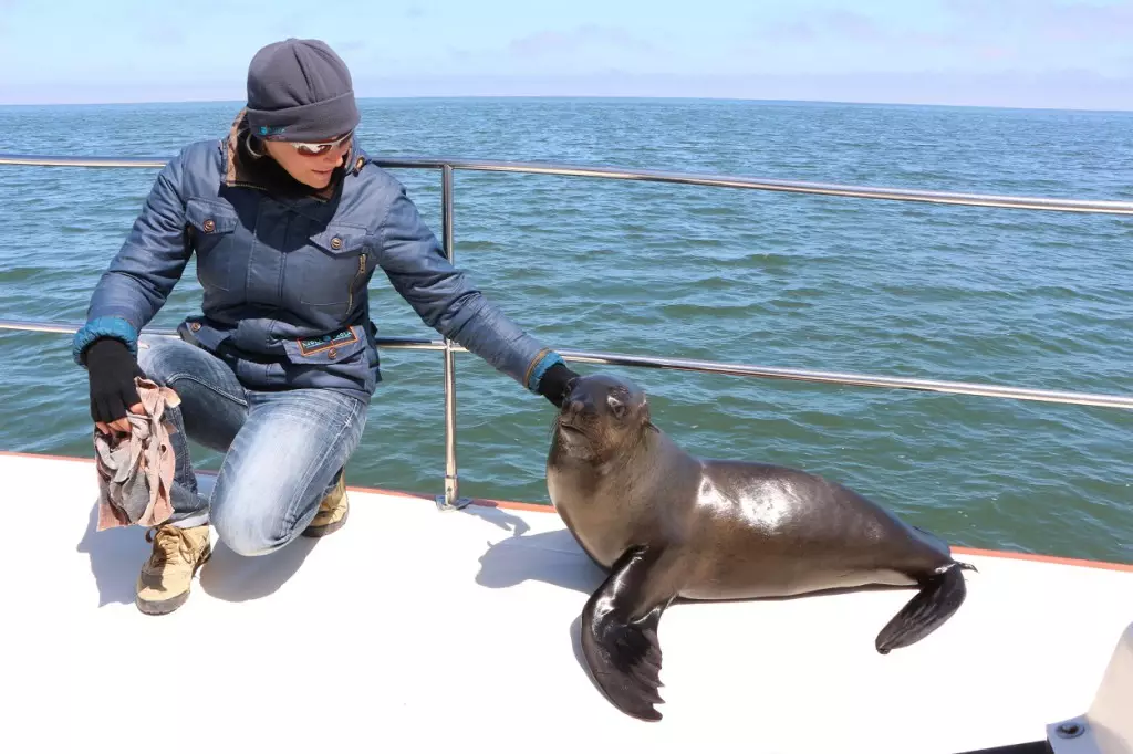 Croisière Walvis Bay, Namibie 