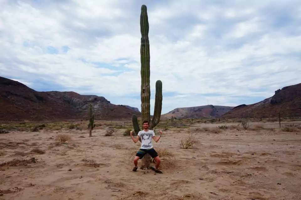 Cactus Cirio & Cardon - Balandra plage