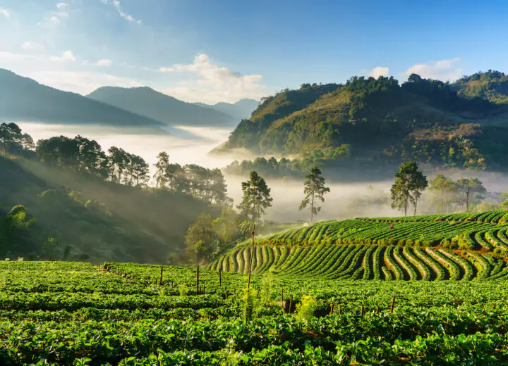 Voyagez en Thaïlande avec de jeunes enfants !