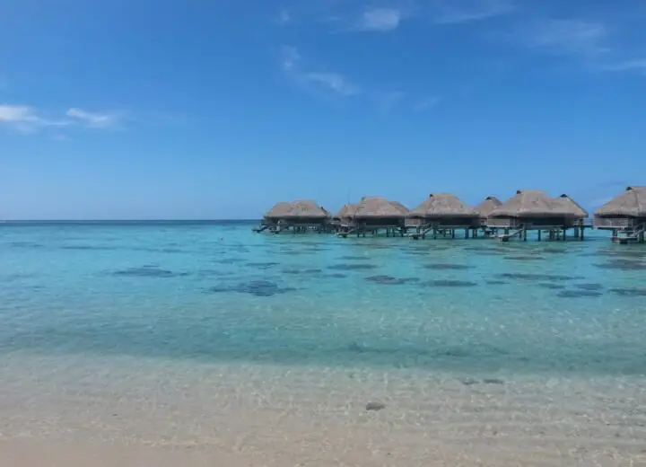 La Polynésie d’île en île par Vanessa : épisode 1 – Tahiti et Moorea