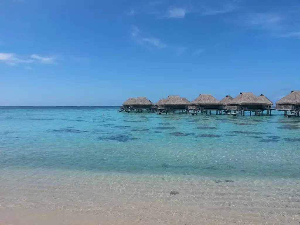 La Polynésie d’île en île par Vanessa : épisode 1 – Tahiti et Moorea