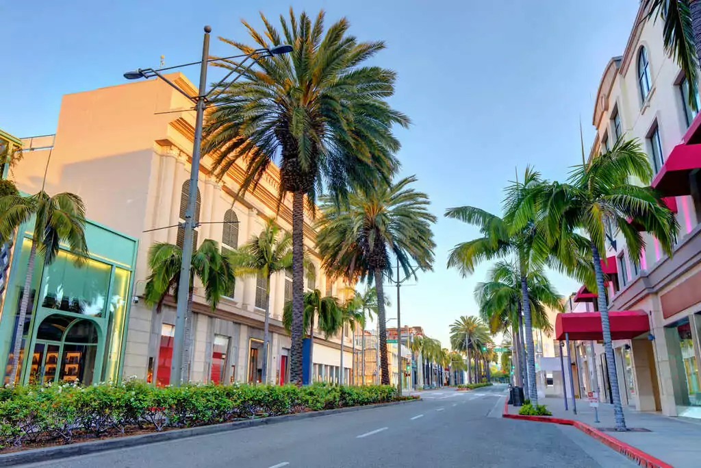 Palmier Los Angeles