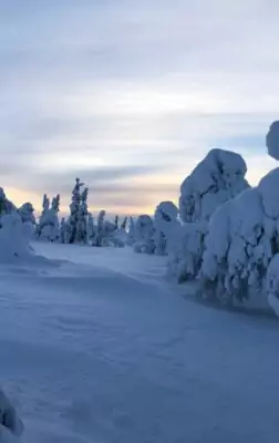 Voyage en Laponie finlandaise : l’expérience du Grand Nord