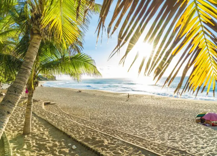 Faire le tour de la Réunion, le bijou de l’Océan Indien