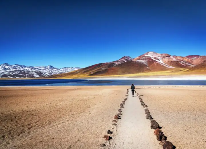 Du désert à la mer, mon voyage dans les décors de rêve du Chili