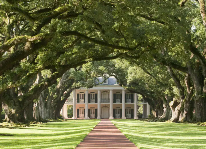 Chez nos cousins cajun