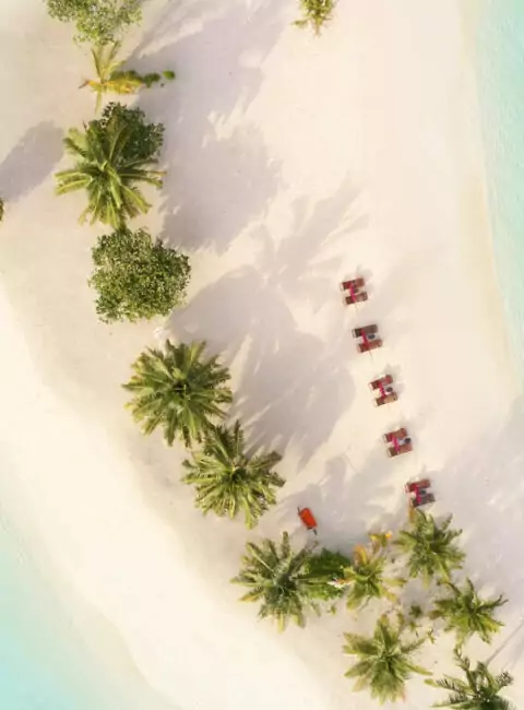 Voyage Paradisiaque