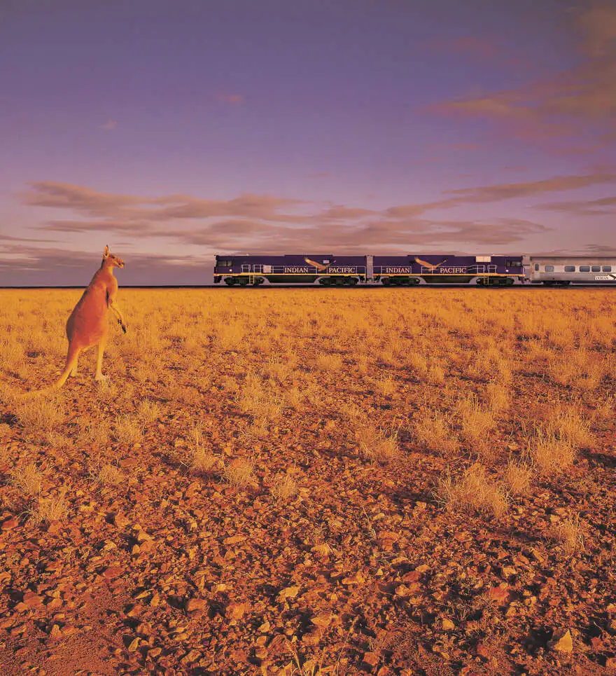 Le luxe du temps et de l’émerveillement