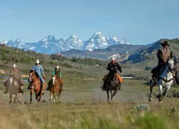 Insolite Yellowstone et Grand Teton