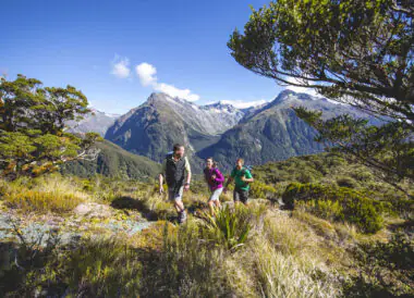 Mosaïque Australienne et Nouvelle-Zélande