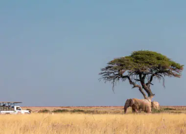 La Namibie avec guide privé