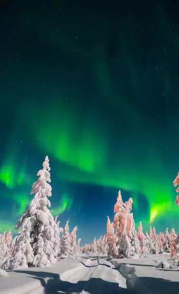 Zoom sur la Laponie