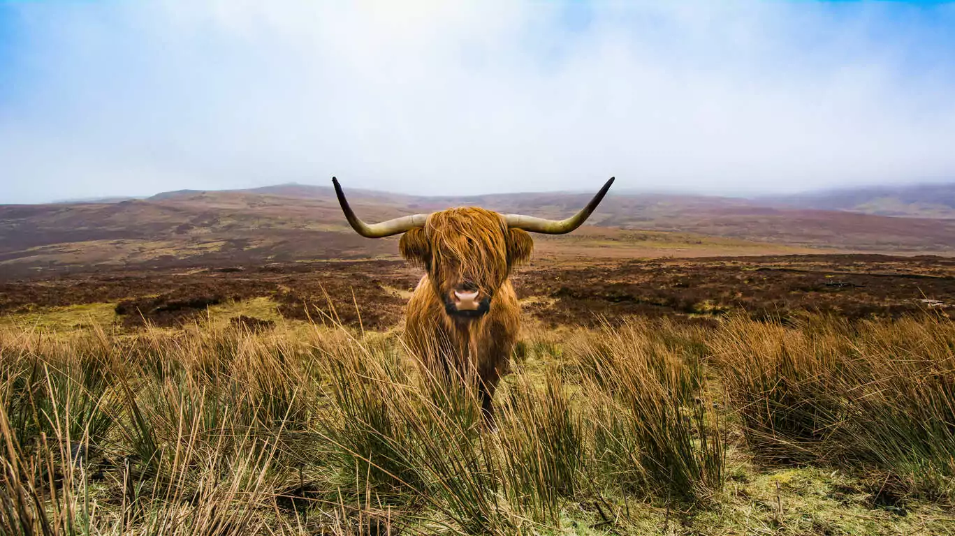 Les incontournables de l’Ecosse