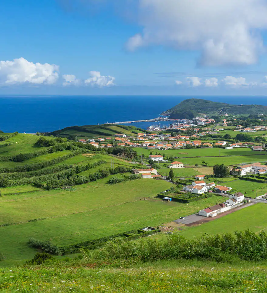 Saveurs, culture viticole et escapade à Faial