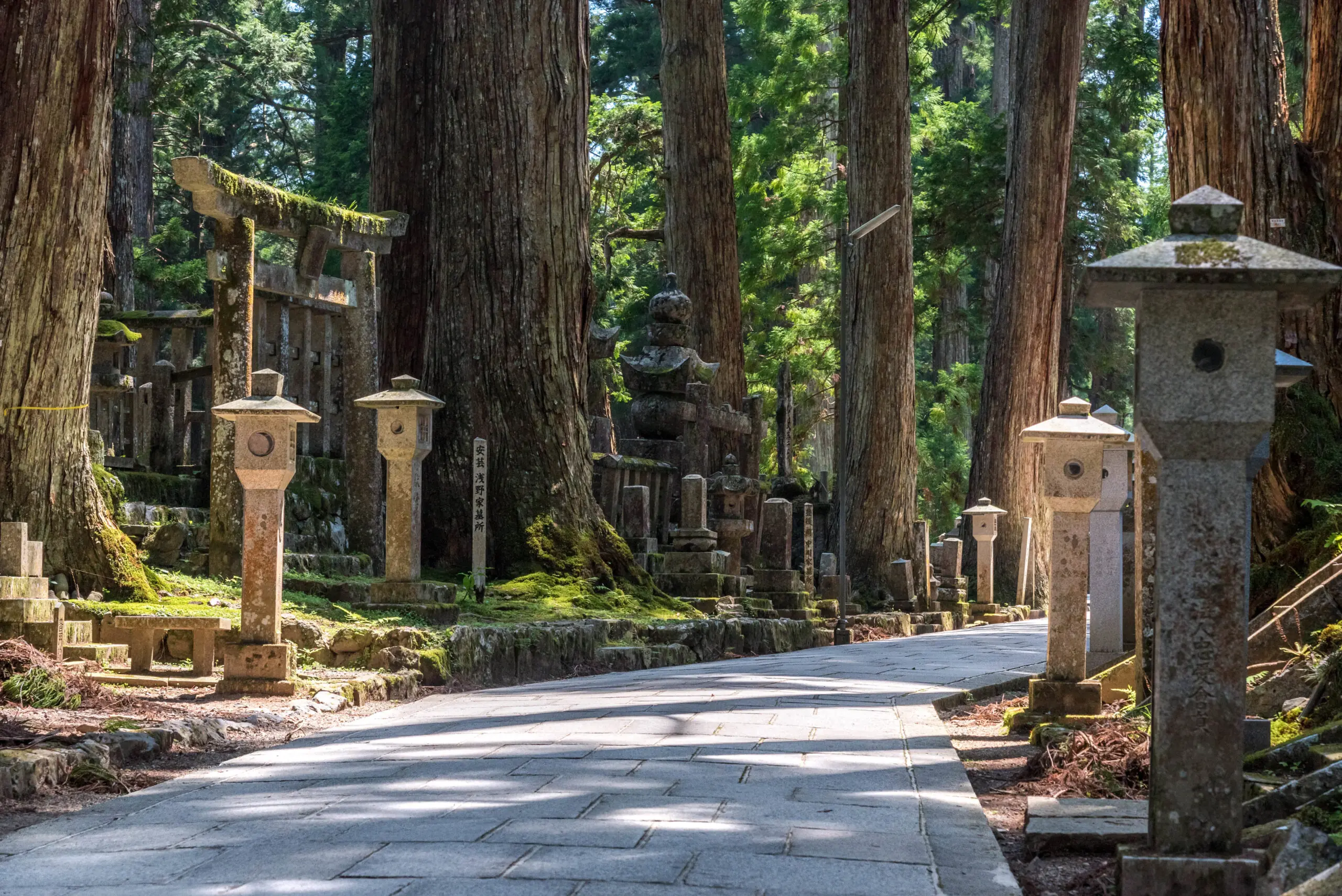 Circuit immersif des sites spirituels aux Alpes japonaises
