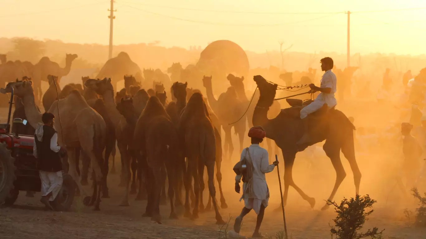 Pourquoi un voyage au Rajasthan avec Cercle des Voyages ?