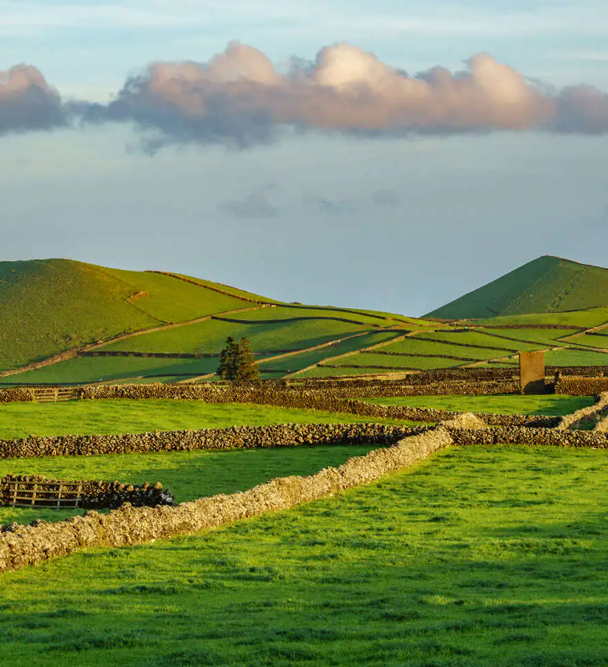 Découverte culturelle de Terceira et d'Angra do Heroísmo