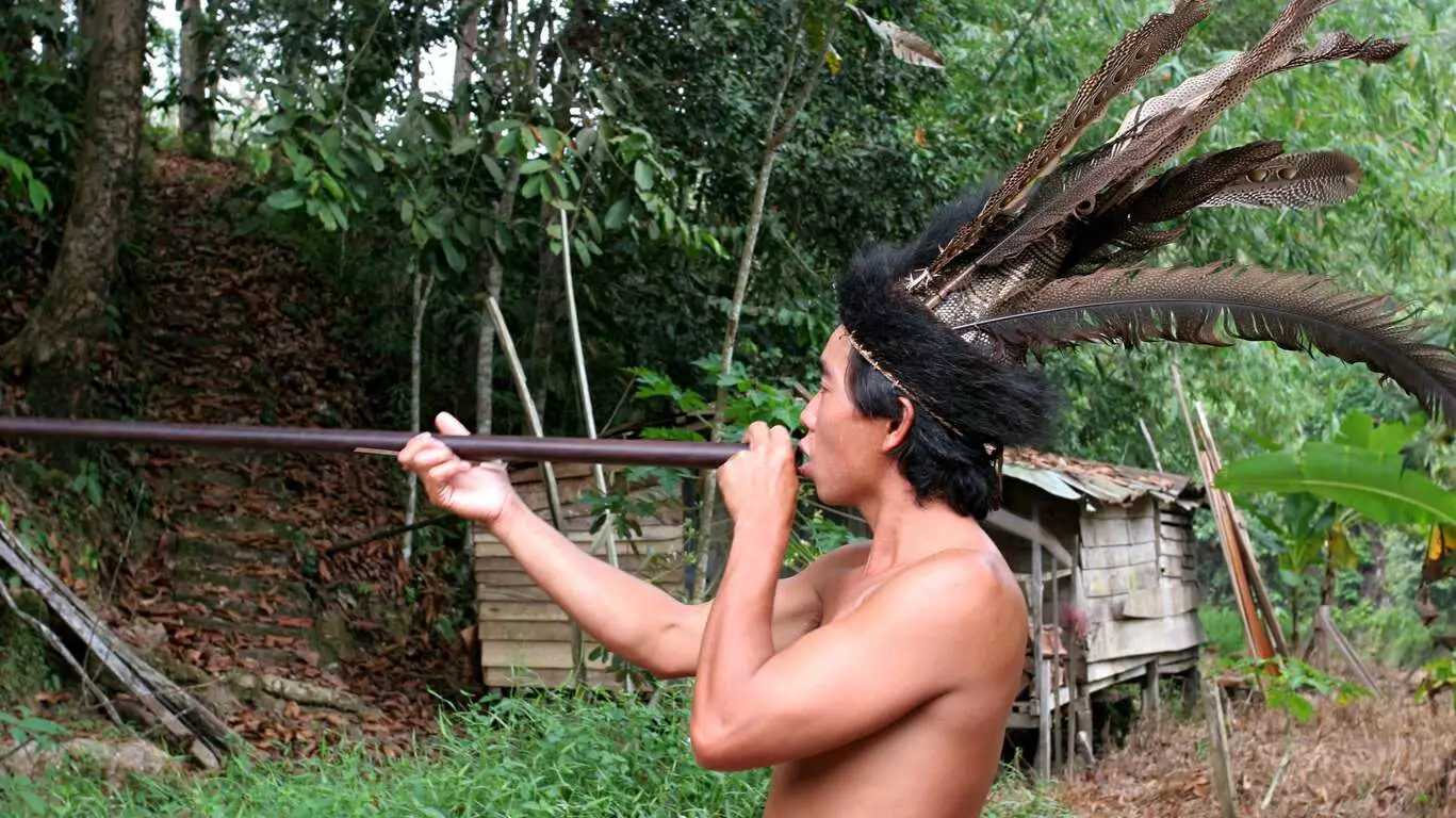 Voyage à Bornéo au coeur de la nature et des traditions